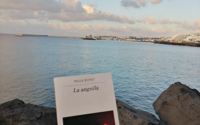 La anguila de Paula Bonet