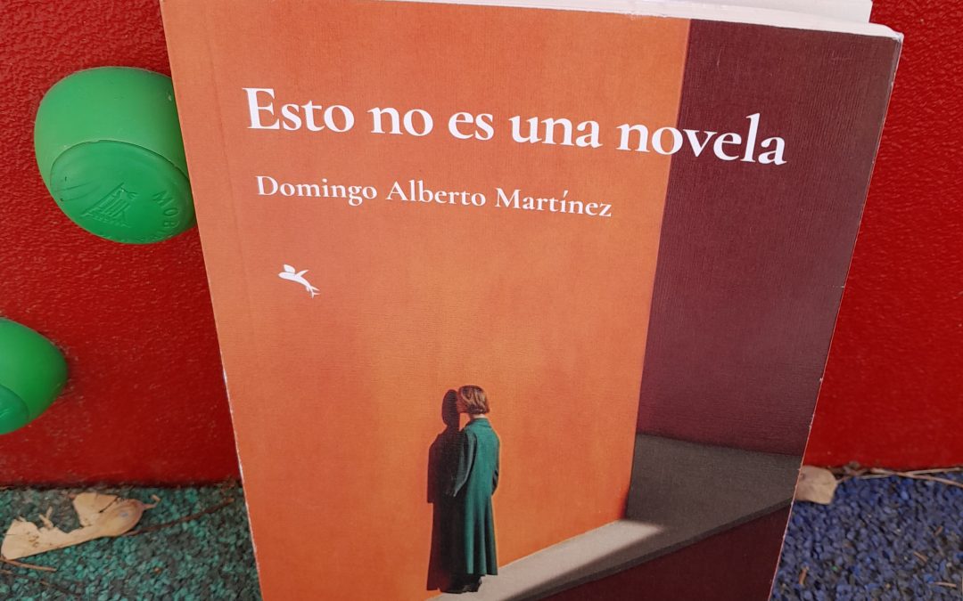 Esto no es una novela de Domingo Alberto Martínez