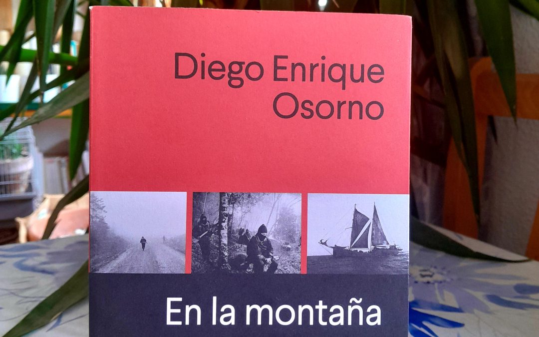 En la montaña de Diego Enrique Osorno