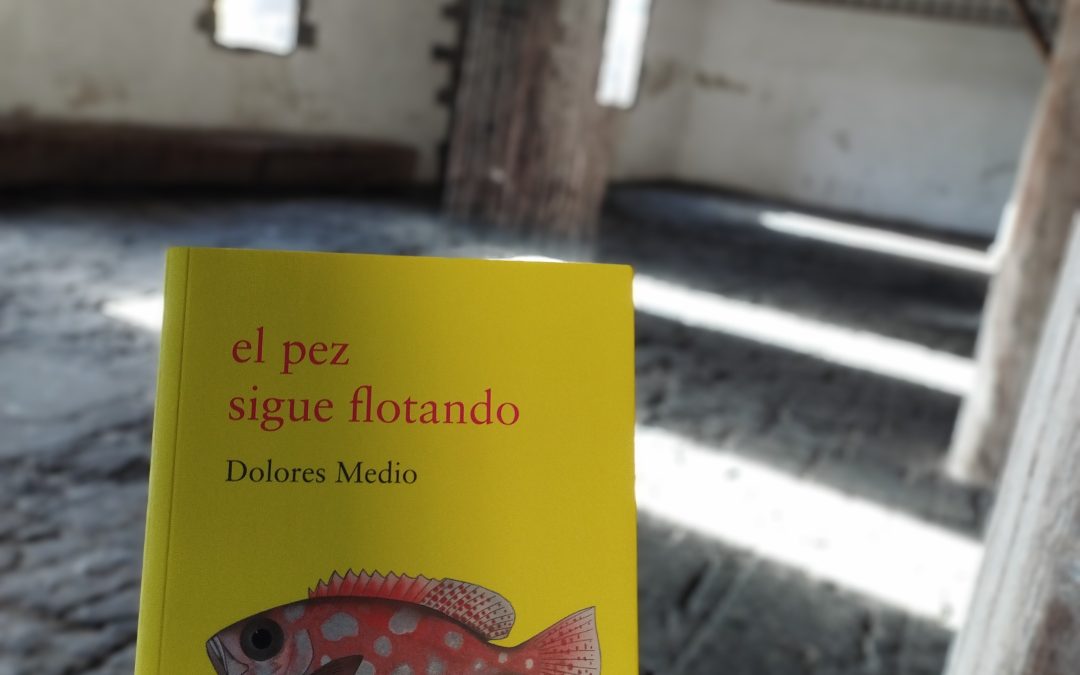 El pez sigue flotando de Dolores Medio