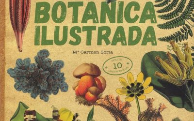 Botánica ilustrada por Mª Carmen Soria (autora) y VV.AA. (ilustraciones).