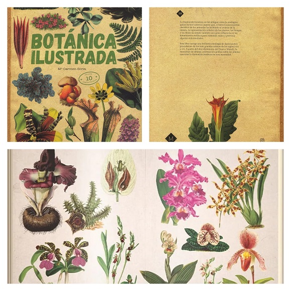 Collage del libro