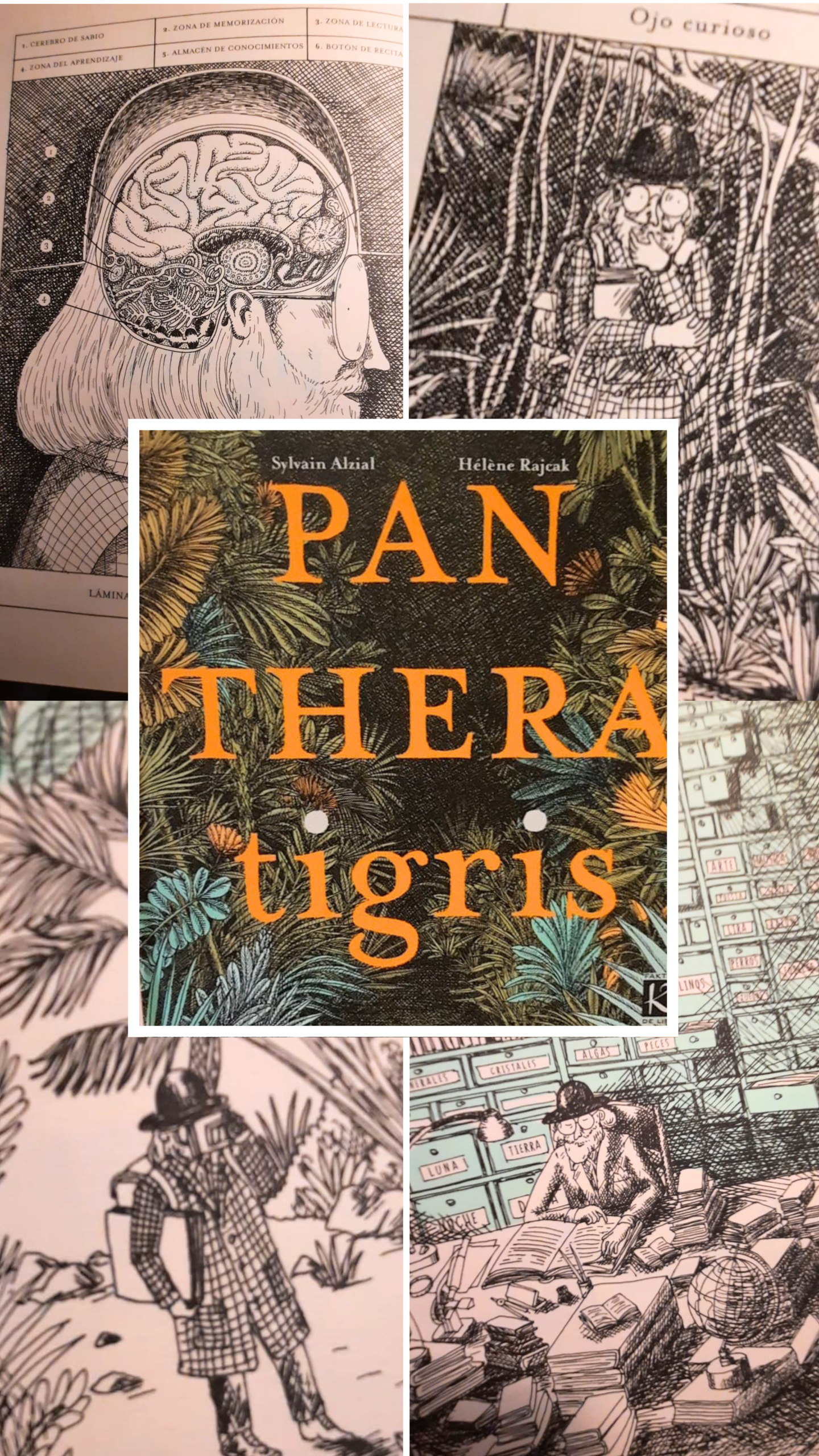 Collage del libro Panthera tigris de Sylvain Alzial (autora) y Hélène Rajcak (ilustrador)