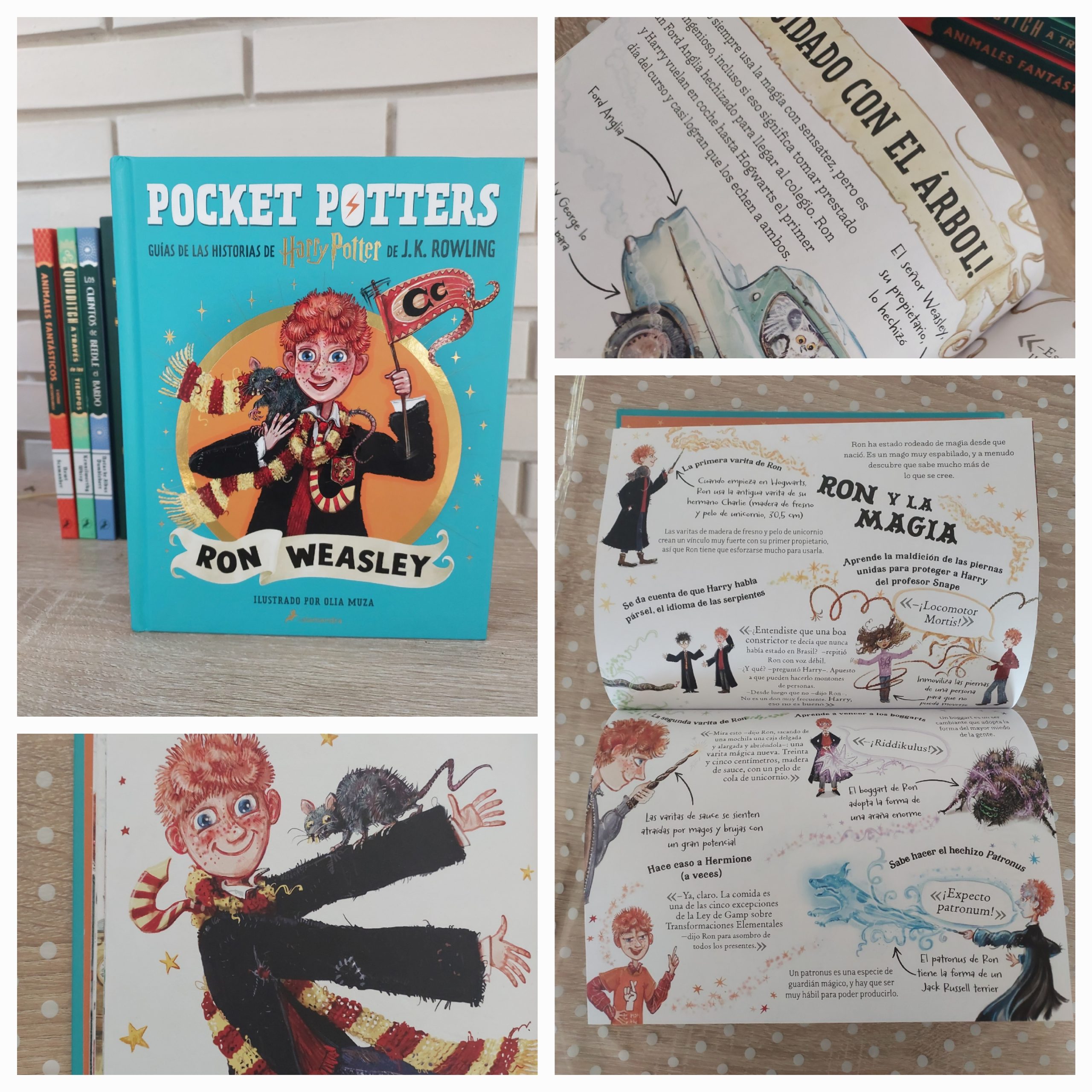 Collage de Ron Weasley en Potter Pockets. Guías de las historias de Harry Potter de J.K. Rowling (autora) y Oliva Muza (ilustradora)